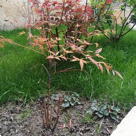 4u Matera